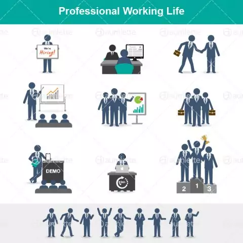 Professional Working Life